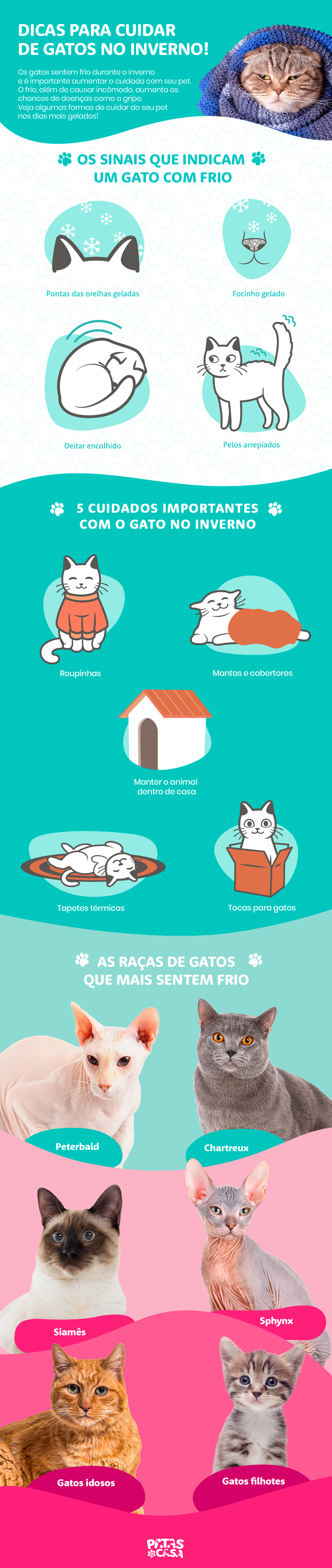 infográfico sobre cuidados com gato no inverno