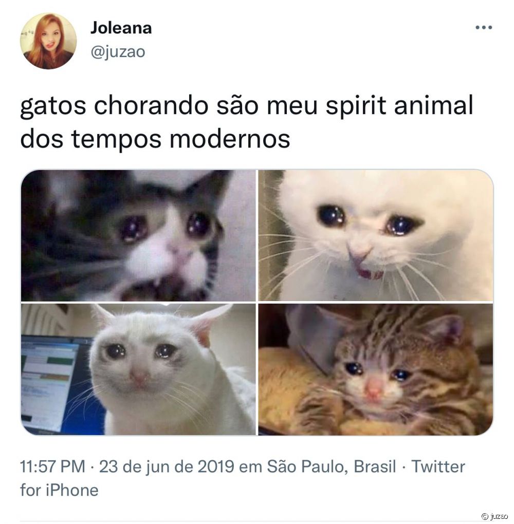 Memes de gato triste com olhos lacrimejando