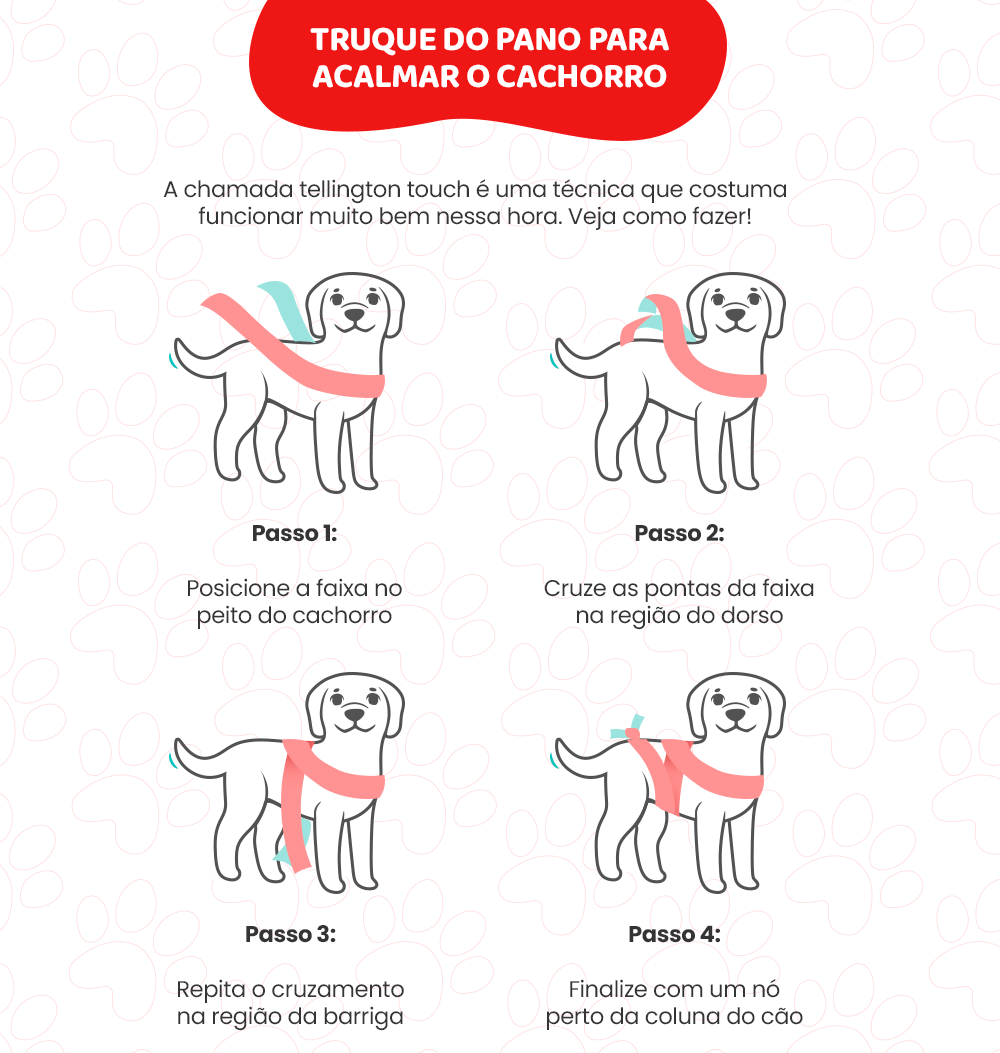 Tellington touch, técnica de amarração para cachorro com medo de fogos