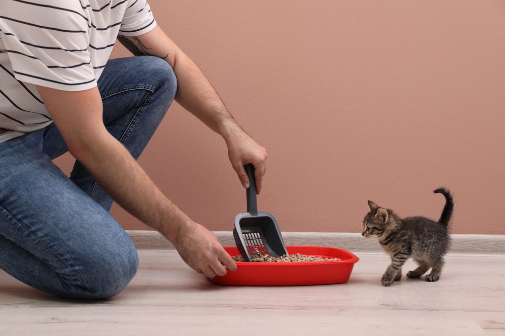 pessoa limpando caixa de areia para gatos