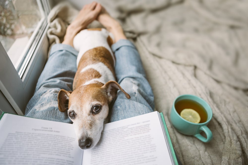 livros de cachorro: mulher lendo livro com cachorro no colo