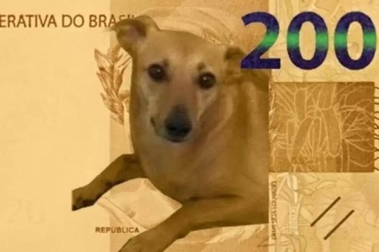 meme do cachorro caramelo na nota de 200 reais