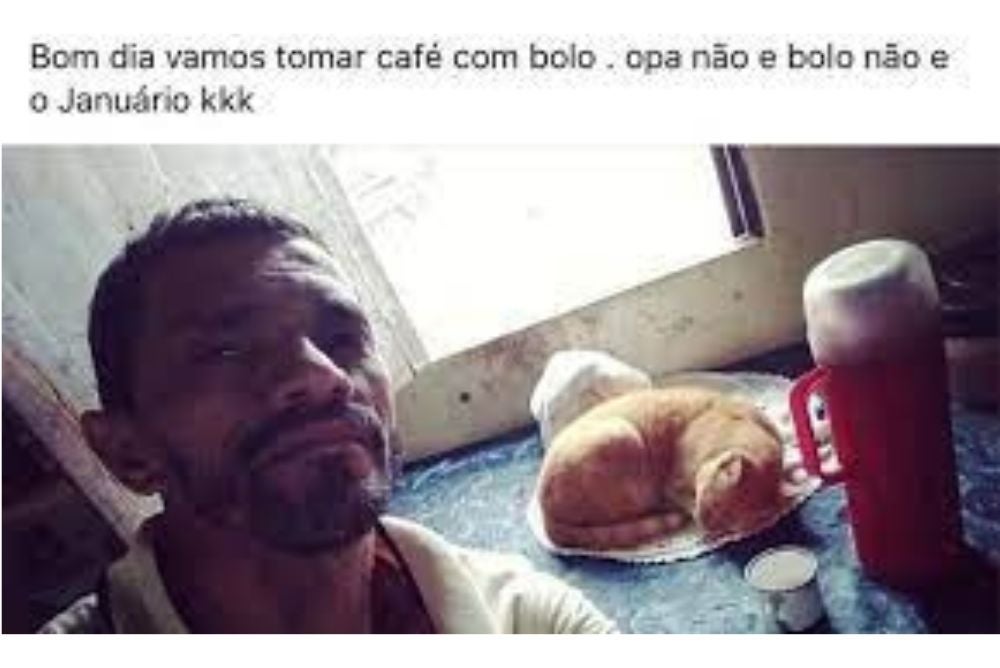 Meme gato Januário