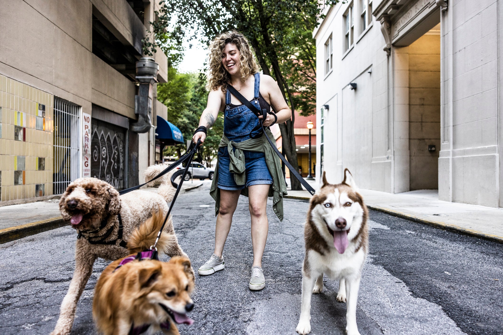 Mulher passeando com vários cachorros em coleiras na rua