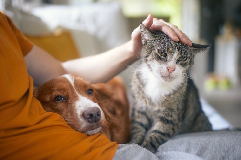 outubro rosa pet: cão e gato com dona