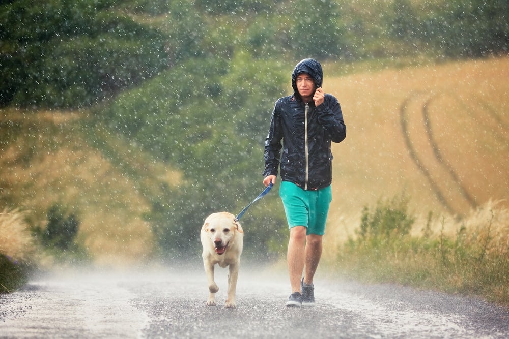 homem passeando com cachorro na chuva