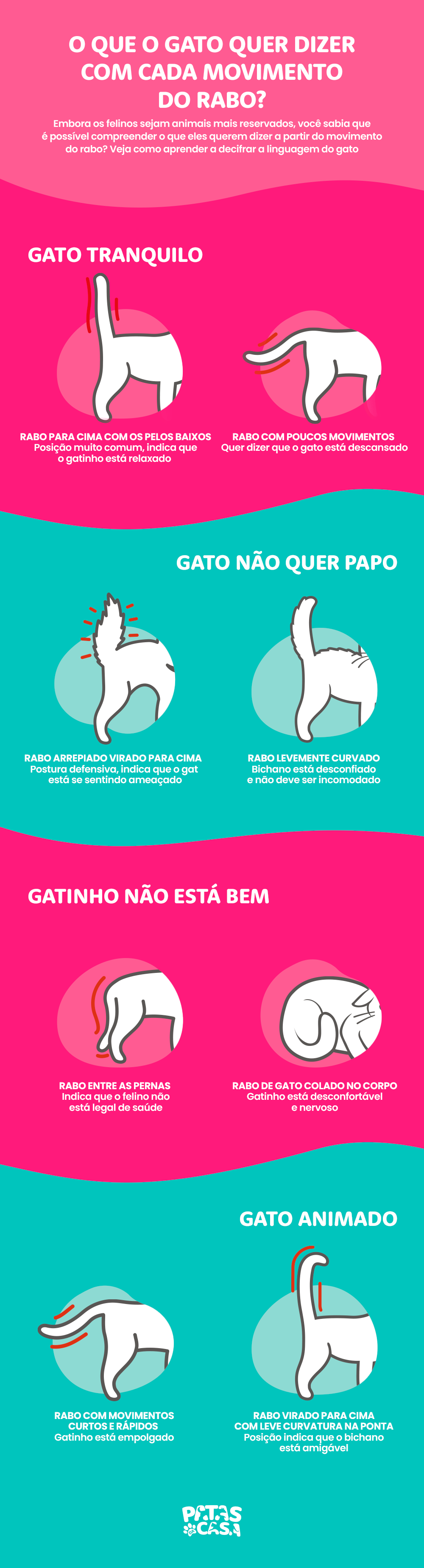 Bloco informativo mostrando as diferentes posições do rabo de gato e o que significam