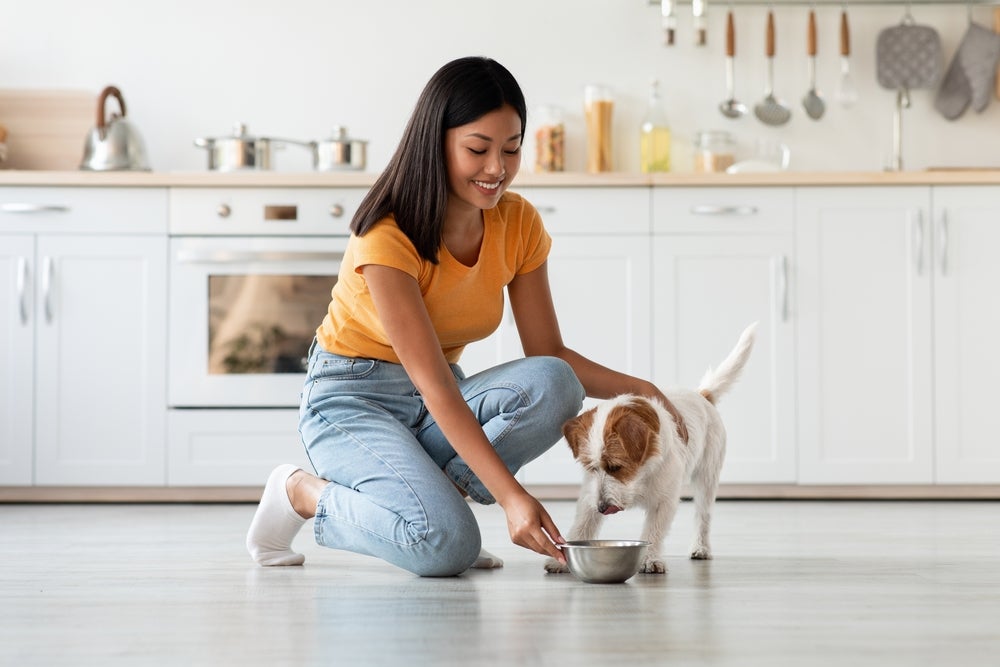 tutora fazendo a troca de ração para cachorro