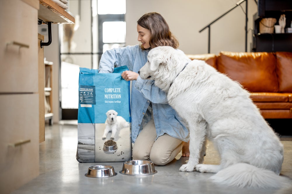 mulher oferecendo ração de cachorro para cão