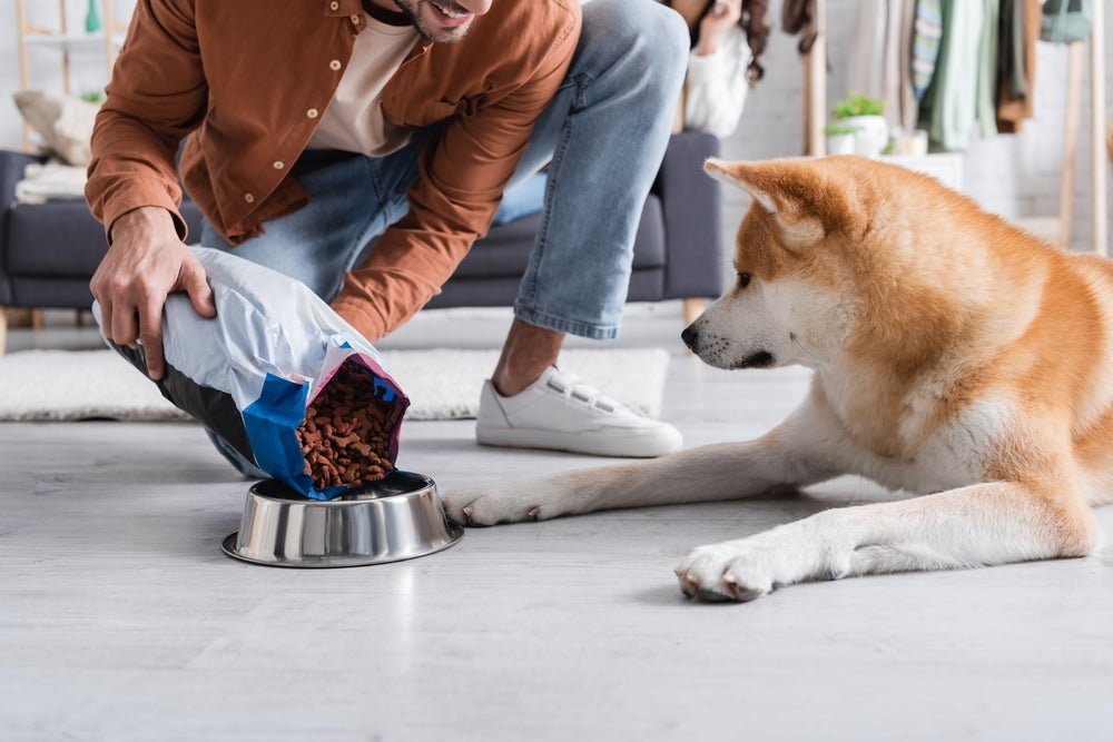 homem colocando ração para cachorro no pote