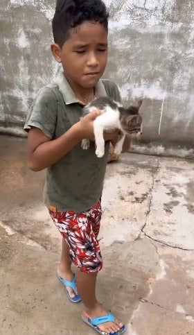menino segurando gato filhote no colo