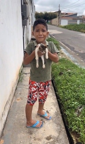 menino segurando gato resgatado nas mãos com cara de choro