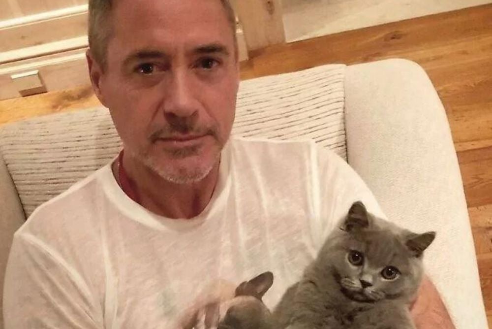 Robert Downey com gatinho no colo