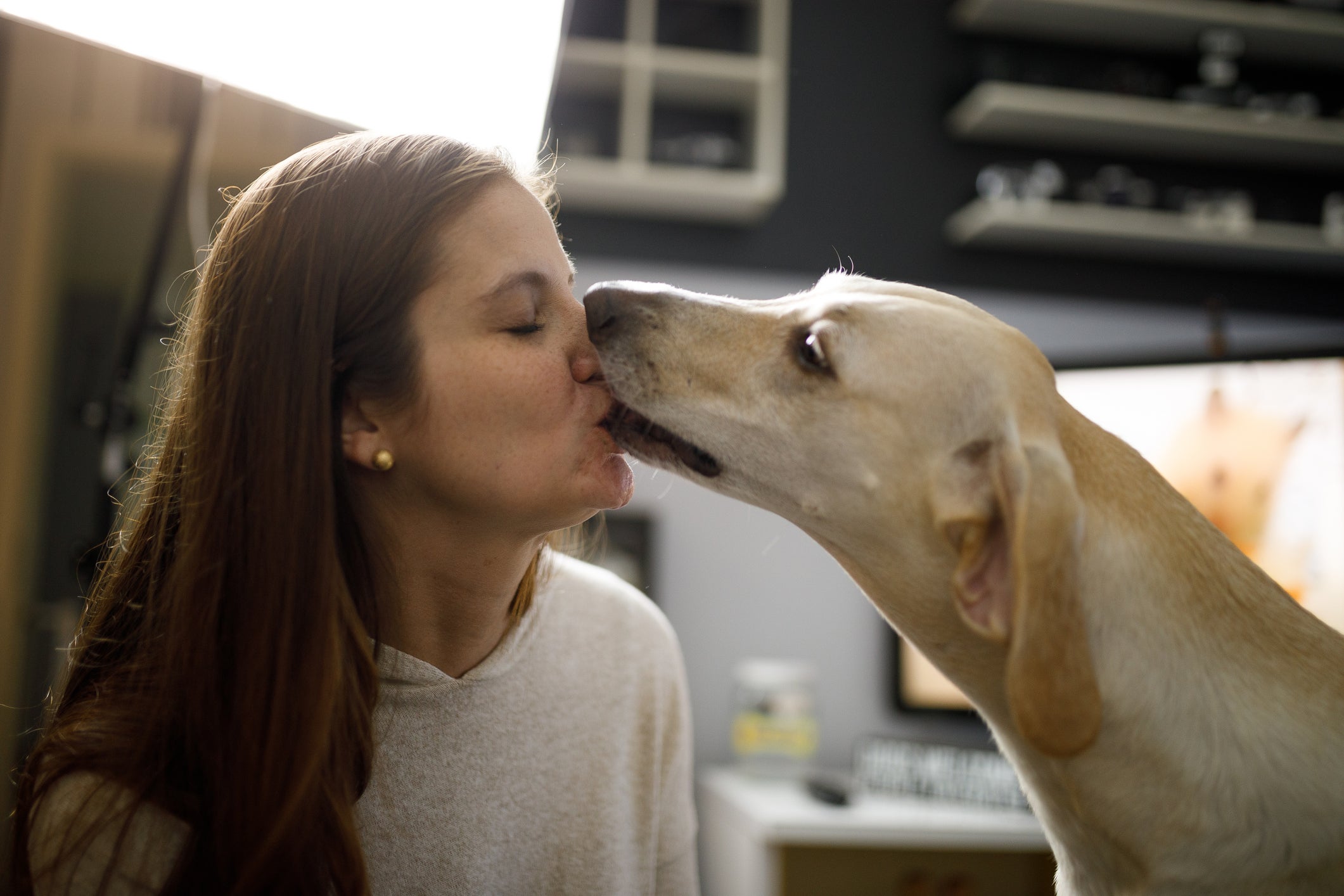 Cão beijando mulher no rosto