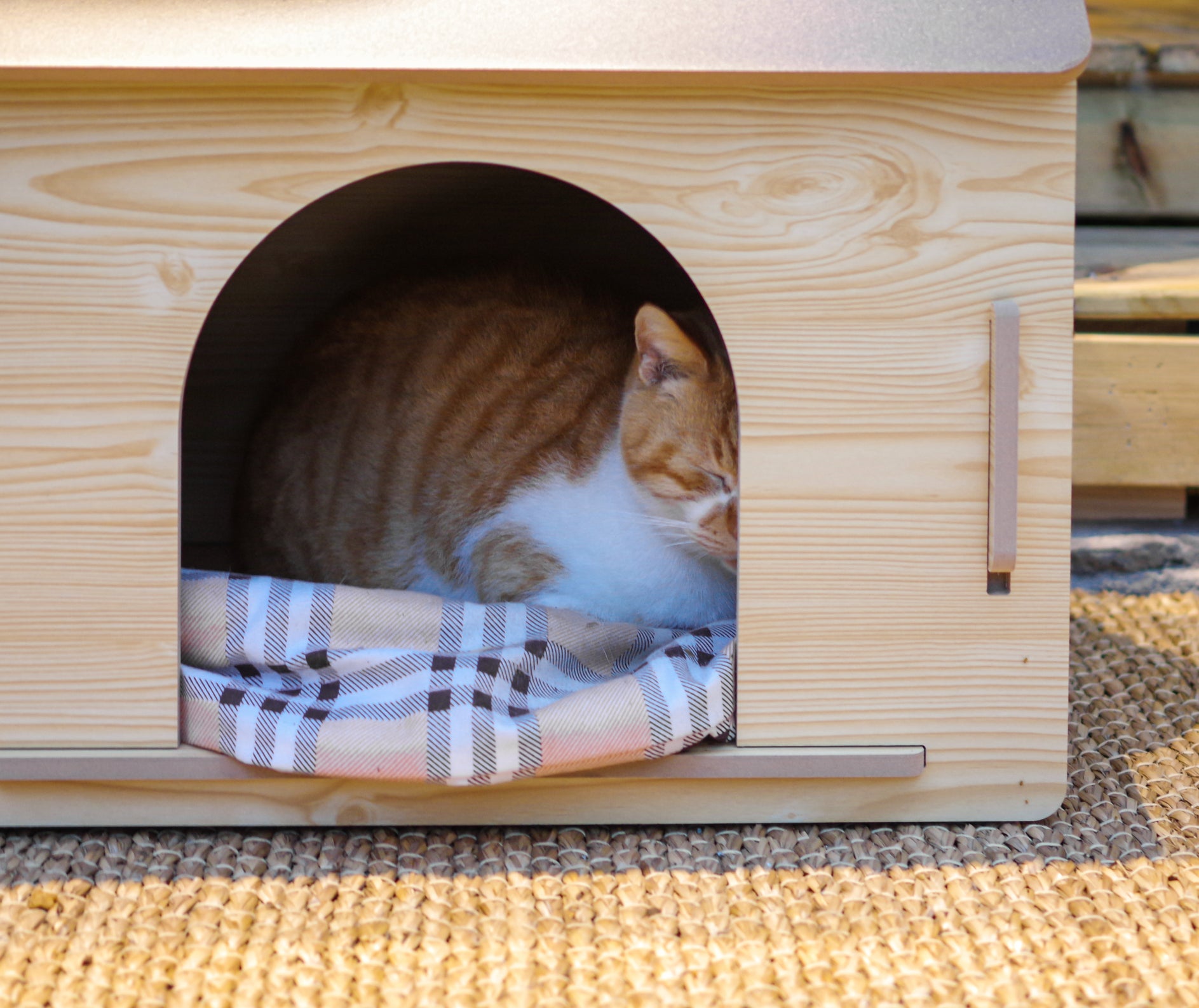 Gato laranja e branco dormindo dentro de casinha de madeira
