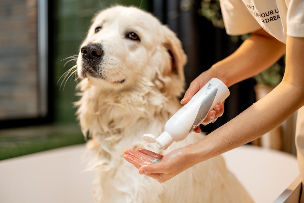 mulher segurando shampoo para cachorro