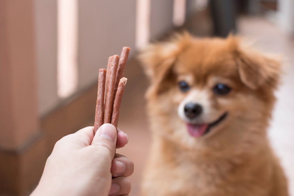 truques para cachorro: cão recebendo petiscos