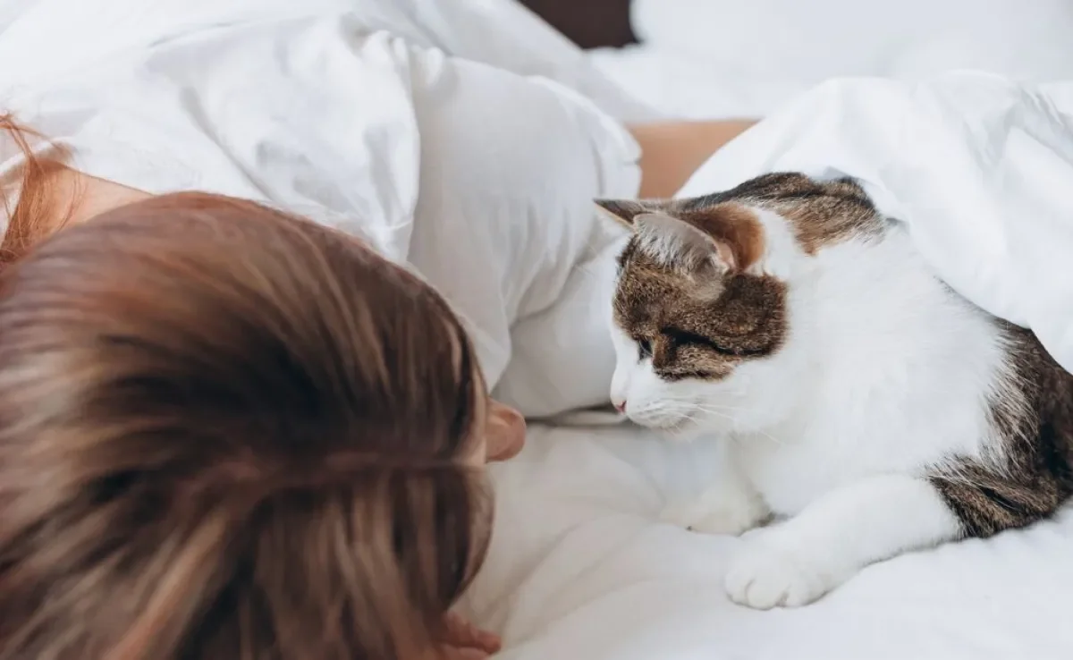 O gato acordando o dono de madrugada pode ter a ver com os instintos noturnos da espécie