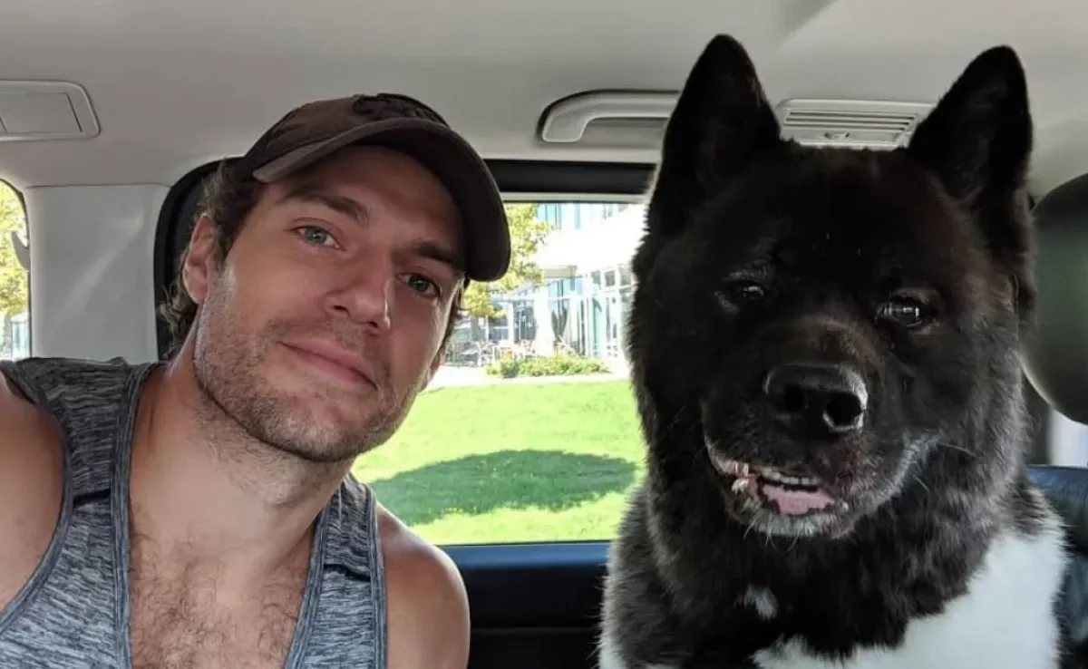 Celebridades também possuem gatos e cachorros famosos que encantam o mundo inteiro