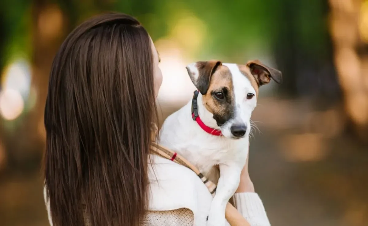 Doar cachorro não é uma tarefa fácil, por isso é muito importante saber como fazer isso