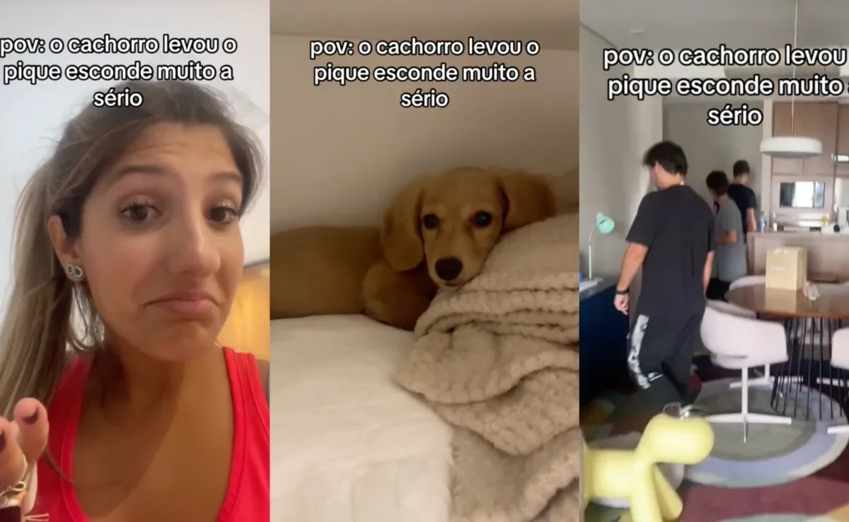 Cachorro se escondendo dentro de casa deixa os tutores desesperados à sua procura. Créditos: TikTok/@notdudacereza