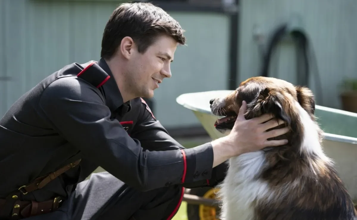 Filme de cachorro é baseado em uma história real e emocionante de superação (Reprodução Netflix))