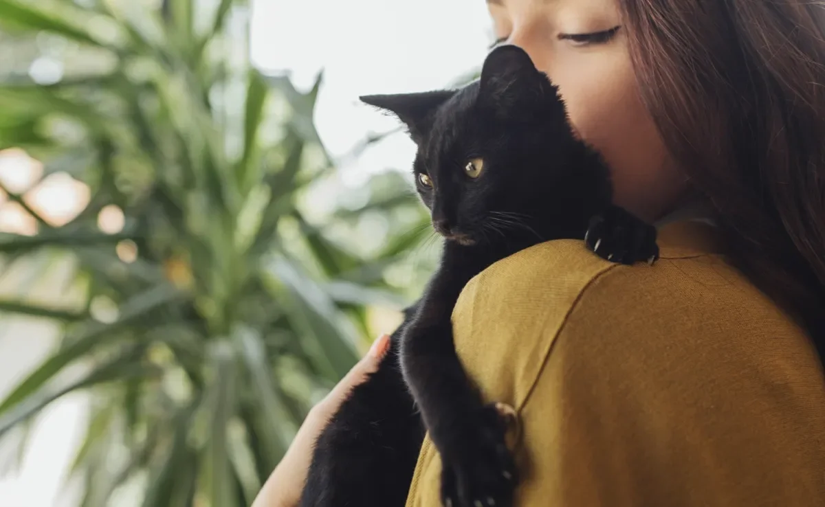 O amor de gato está nos mínimos detalhes