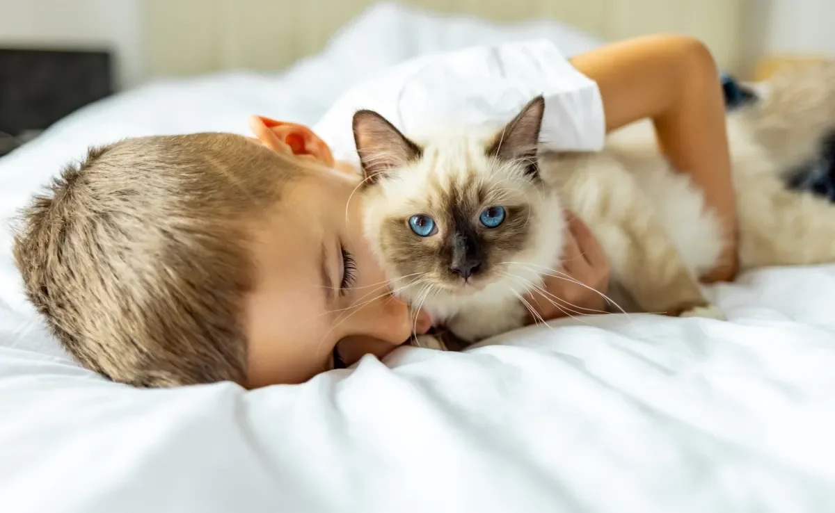 Veja quais são as raças de gatos mais indicadas para quem tem crianças