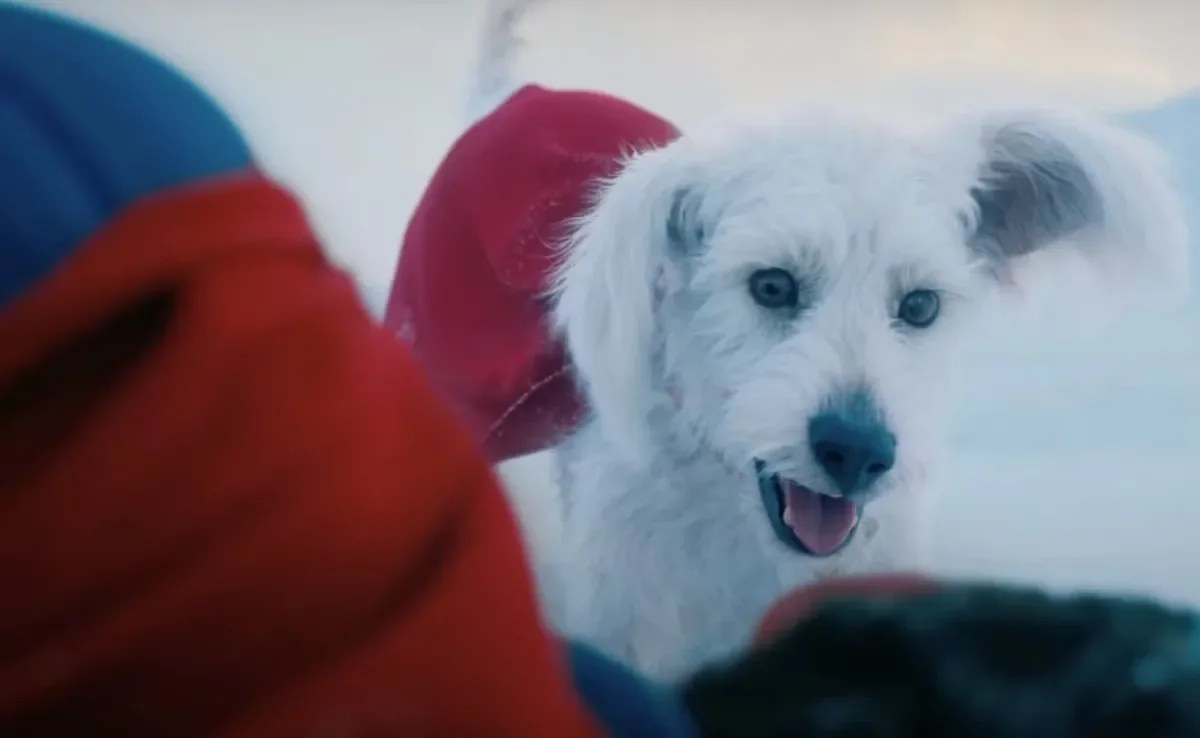 Representação do cachorro Krypto foi baseada no pet do diretor James Gunn