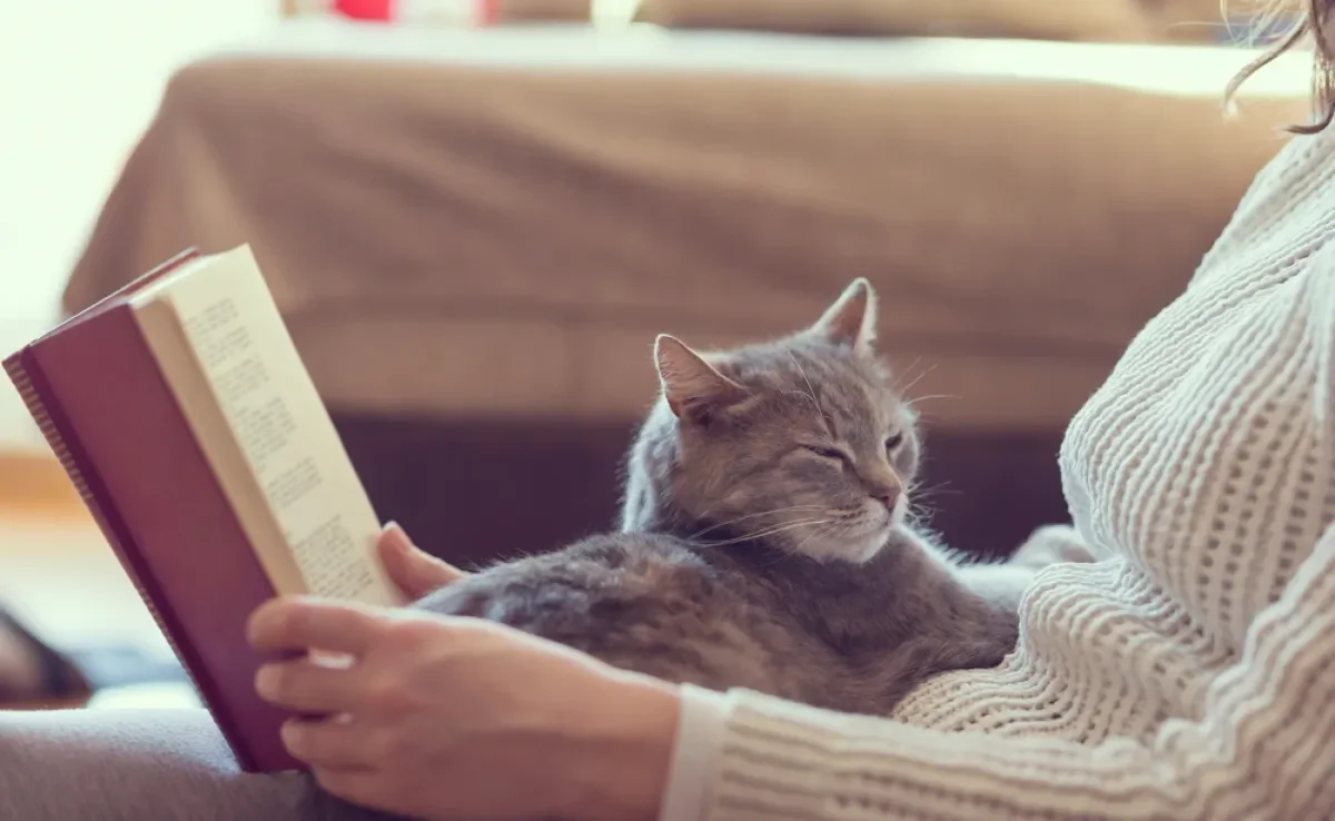Autores clássicos retratam a essência dos felinos em versos bonitos e cheios de significado
