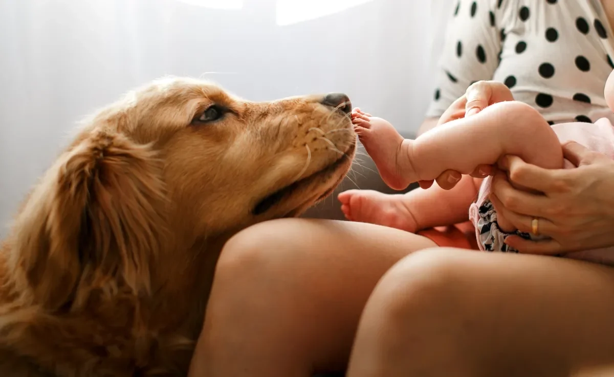 O convívio entre cães e crianças pequenas pode trazer muitos benefícios para o desenvolvimento infantil