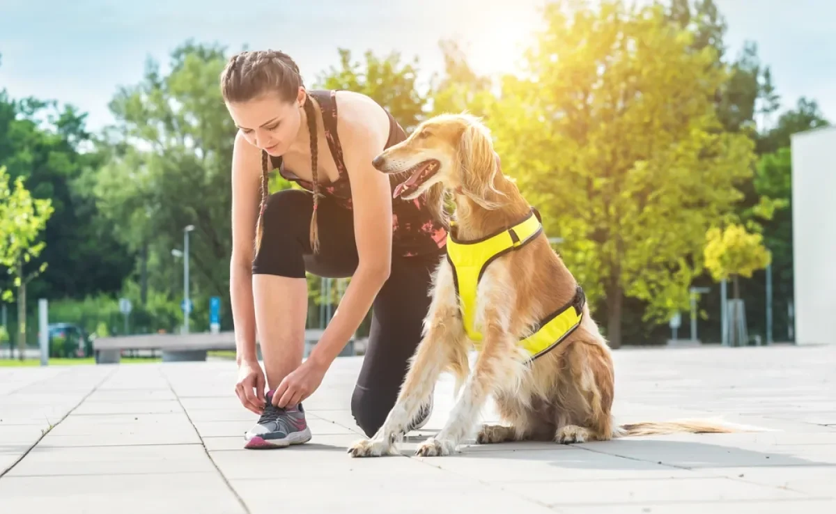O uso de equipamentos adequados garante conforto e segurança durante a corrida com cachorro
