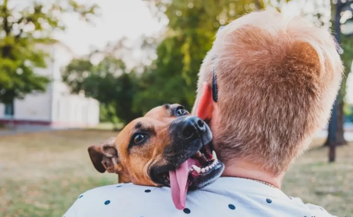 O amor de cachorro é regado de companheirismo e confiança