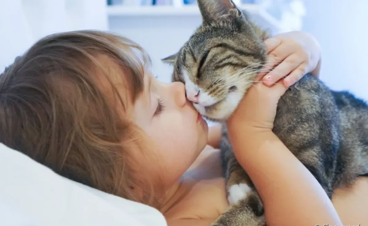 Gatos carinhosos: descubra as raças que mais amam um chamego com seus donos!