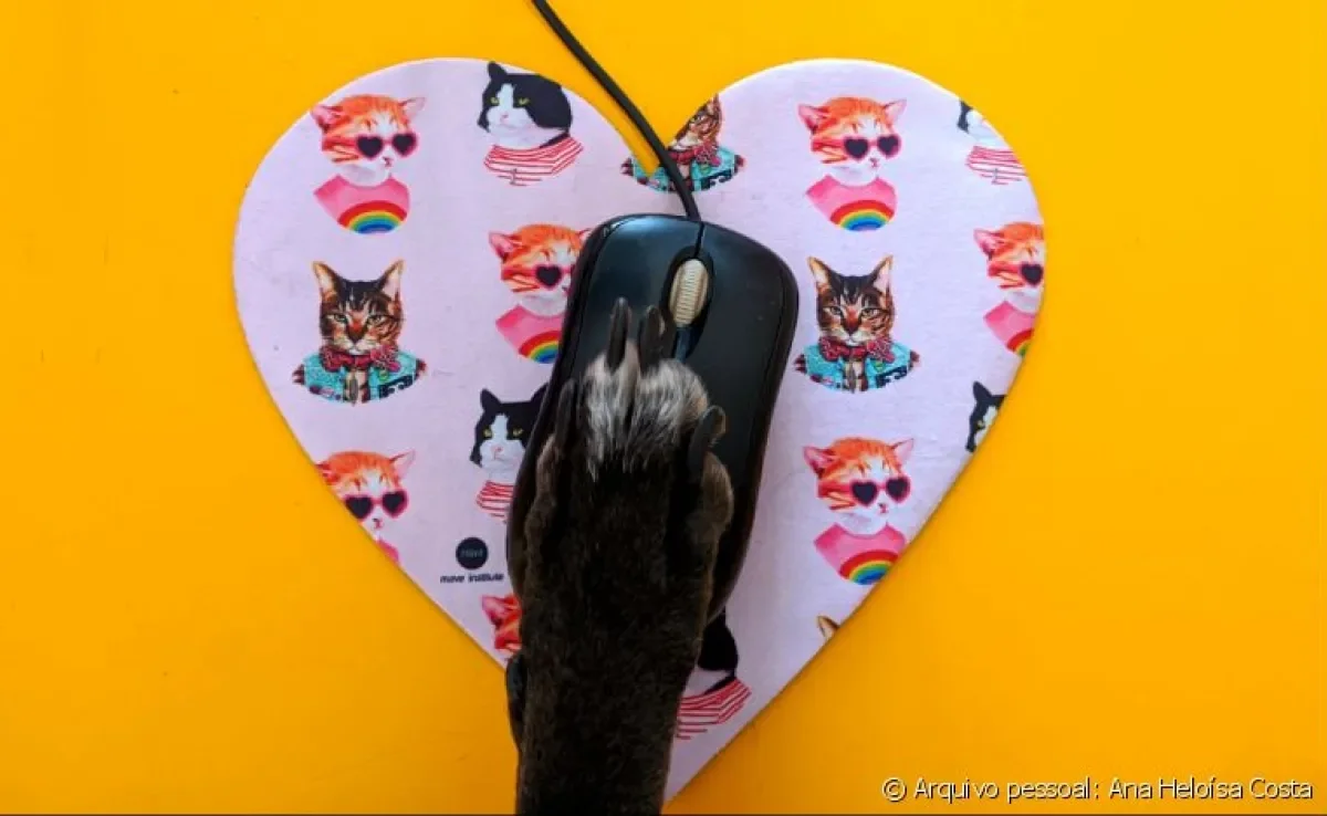 A quarentena com os animais de estimação está rendendo fotos incríveis durante o home office. Nós reunimos algumas delas aqui. Veja e se apaixone também!