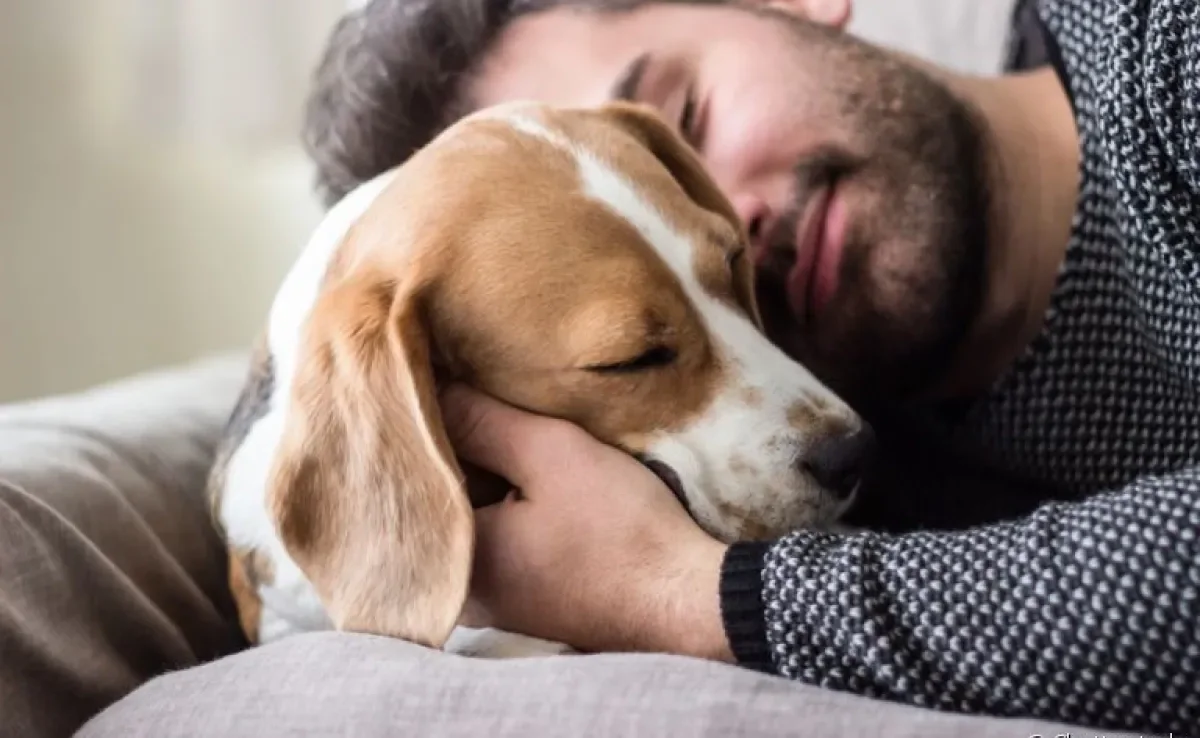 Já se perguntou qual raça de cachoro mais combina com o seu signo? Saiba que algumas teorias podem te responder!