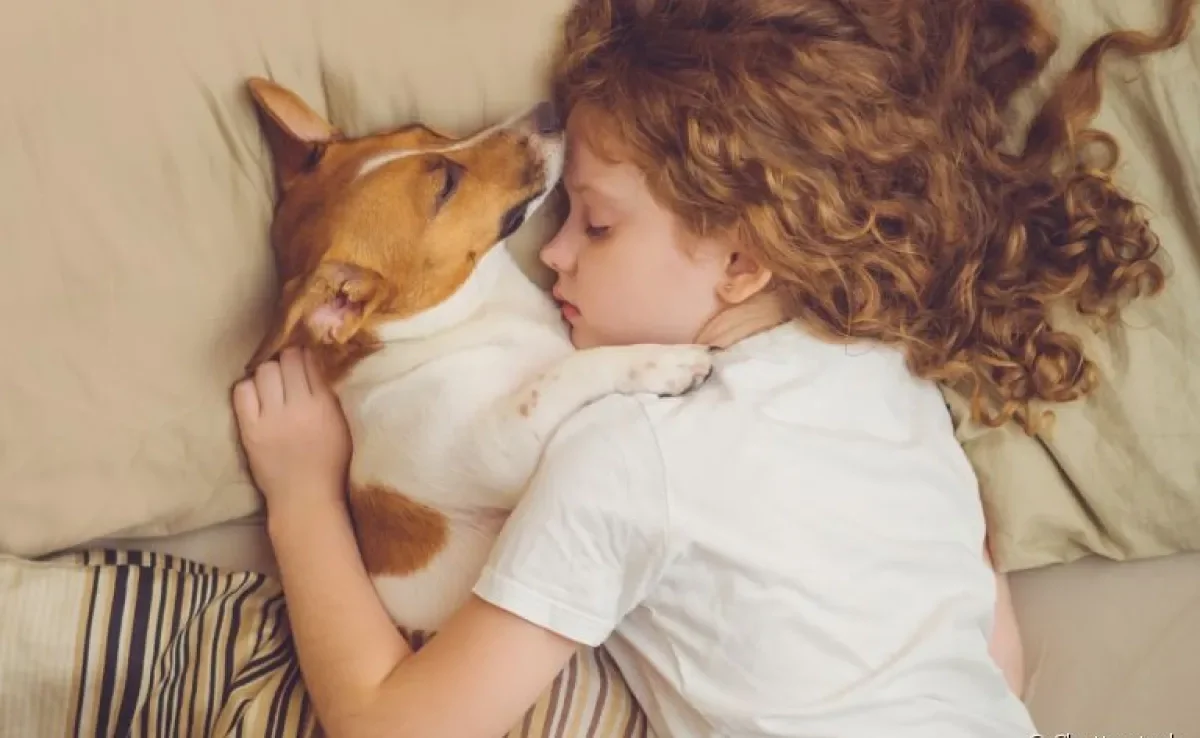 Descubra porque cachorro gosta de dormir encostado no dono a seguir!