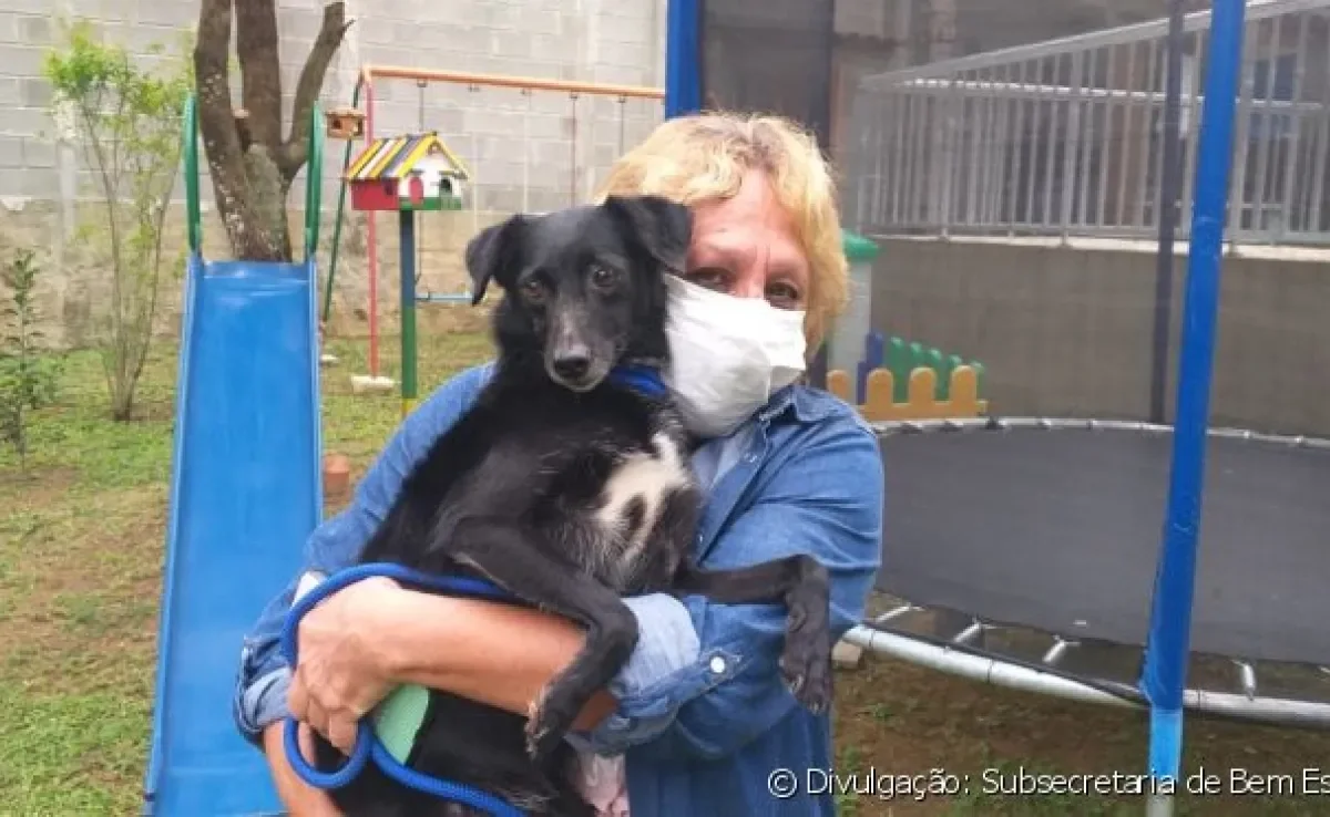 Projeto no Rio de Janeiro criou o "Entrega Pet" para incentivar a adoção de cachorros e gatos abandonados