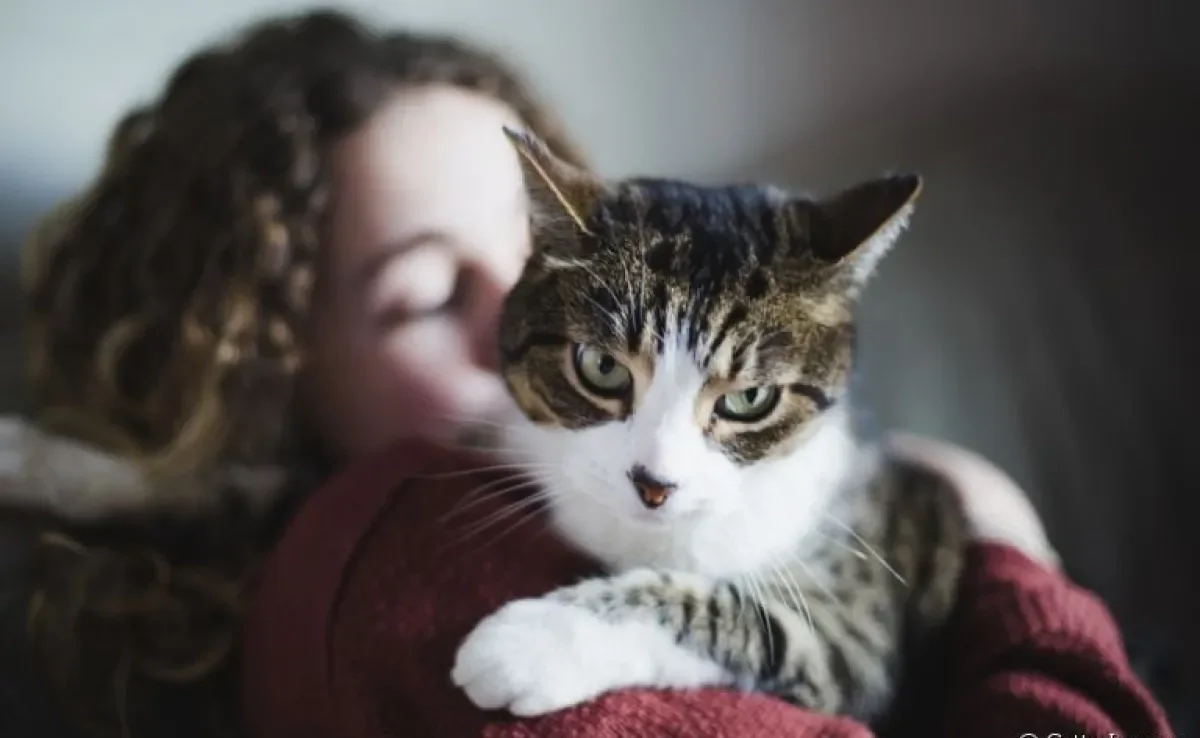 Afinal, como os gatos veem seus donos? Será que eles são capazes de reconhecê-los? Descubra!