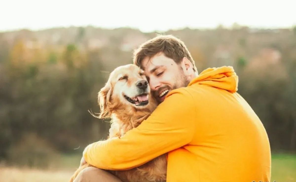 Será que cachorro entende o que falamos? Descubra como funciona isso!