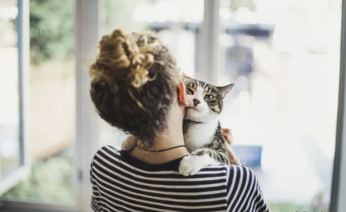 Gato carente: fofura ou um apego prejudicial?