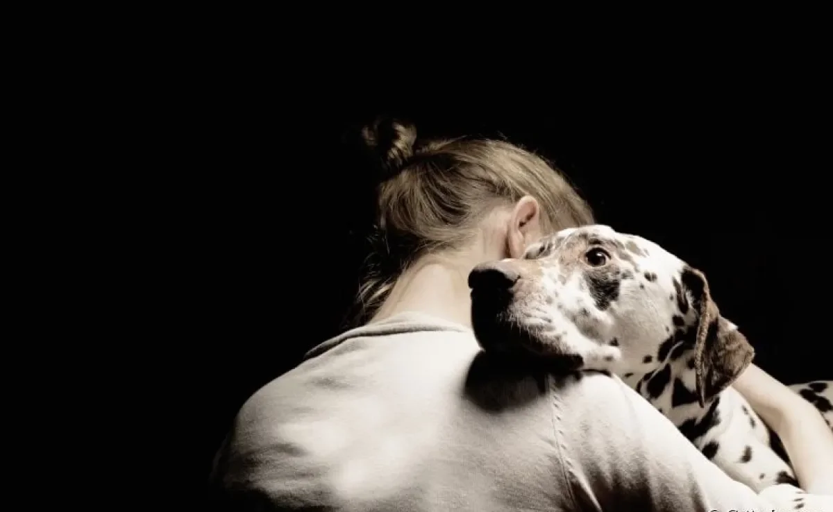 A ideia de sacrificar cachorro é terrível, mas em alguns casos é a única maneira de aliviar a dor e sofrimento do animal