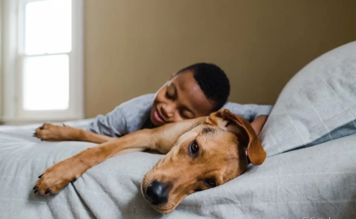 A relação entre o cachorro e seu dono pode gerar muitas dúvidas. Saiba algumas percepções dos cães sobre os tutores!