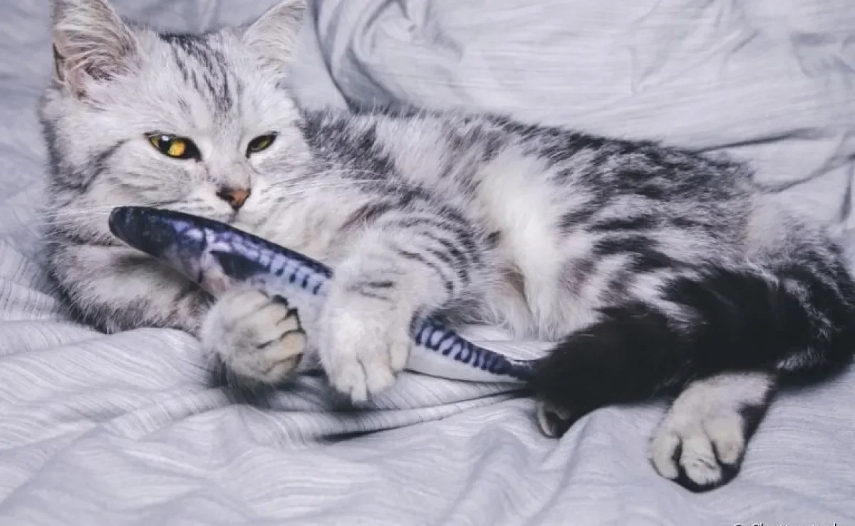 Saiba tudo sobre o brinquedo peixe para gatos, a nova sensação dos gateiros