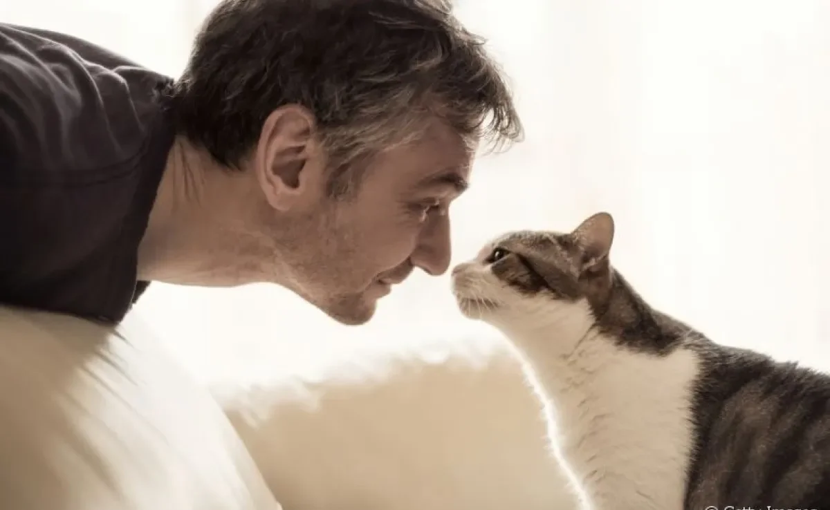 Quer entender por que os gatos cheiram o nariz do dono? Veja a seguir o que a gente descobriu sobre o assunto!