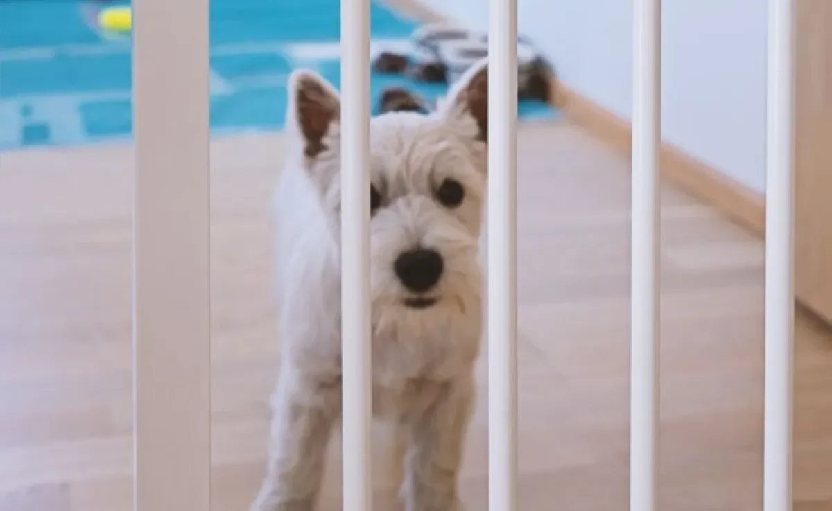 O portão para cachorro pode ser útil em diversas situações