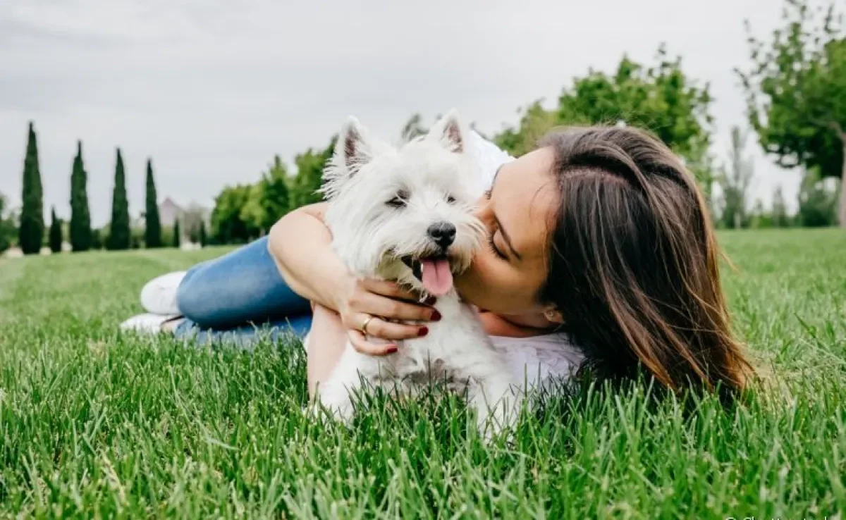 Adotar cachorro pode trazer benefícios para sua saúde! Confira alguns na matéria