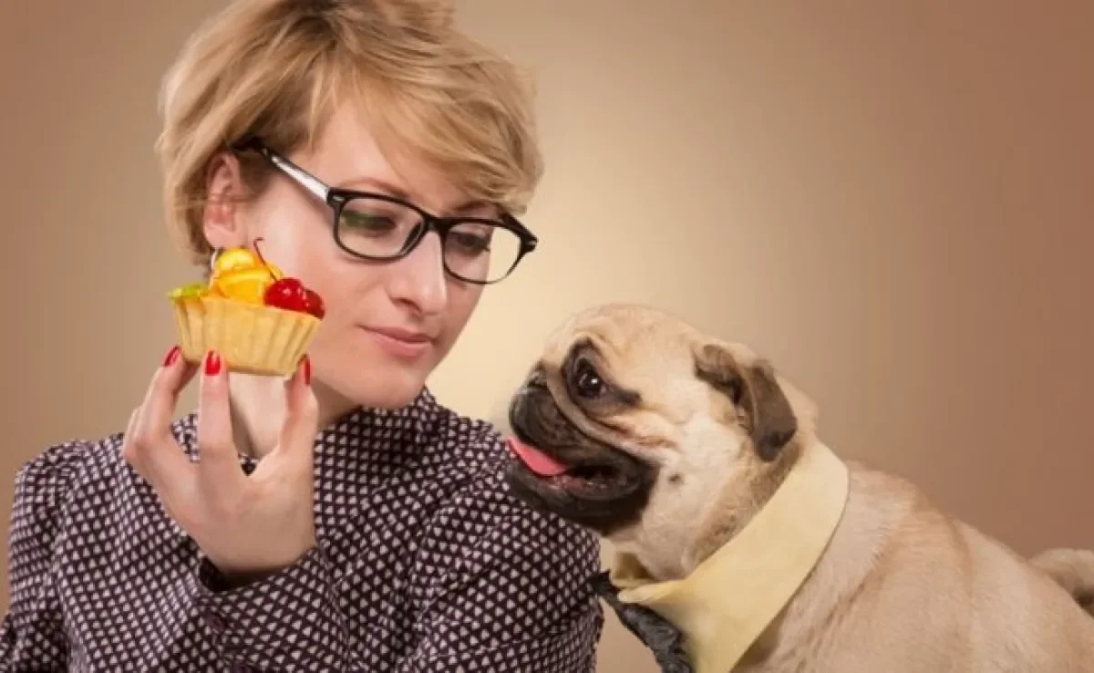 O cachorro não pode comer algumas comidas humanas, como macadâmia, cebola e alho