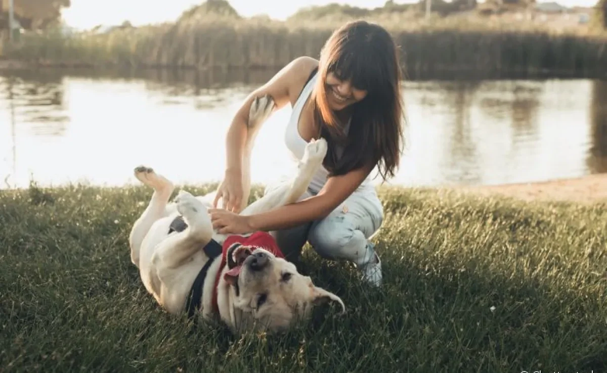  Cachorros sentem cócegas e podem gostar muito 