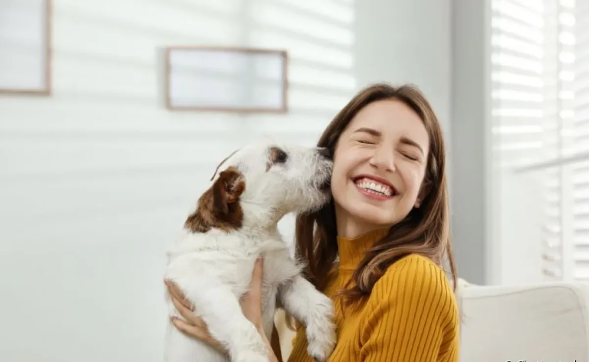 O amor de cachorro pode ser percebido de várias formas, e às vezes o doguinho escolhe seu próprio dono